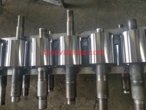 Trục vít xi mạ 06